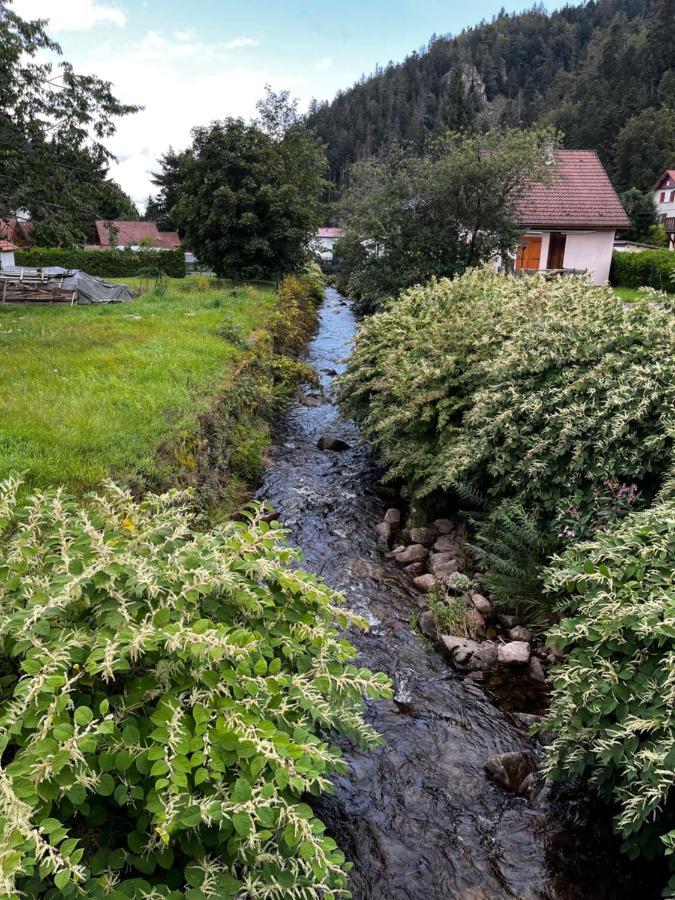 Les Ateliers Villa Gérardmer Kültér fotó